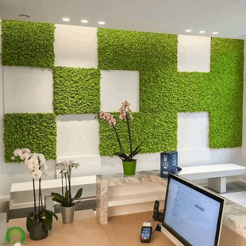 Get No.1 Wall Artificial Grass Dubai | Artificial Green Wall