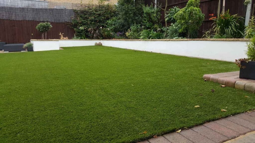 Best-lawn-grass