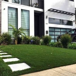 best-landscaping-grass