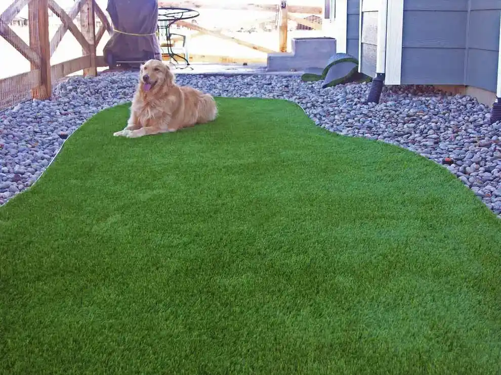 Explore Benefits of Artificial Grass for Pets