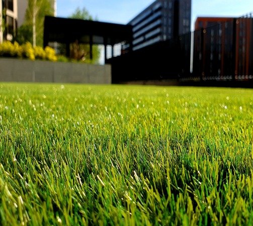 hotel artificial grass Lawn