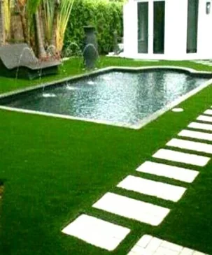 swimming pool grass in Dubai