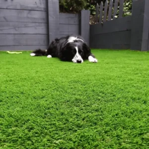 Hestia 30mm Artificial Grass Dubai – Pet-Friendly Synthetic Turf